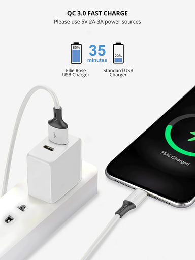 Dual Port USB-C and USB-A Wall Charger - Beau Kisses