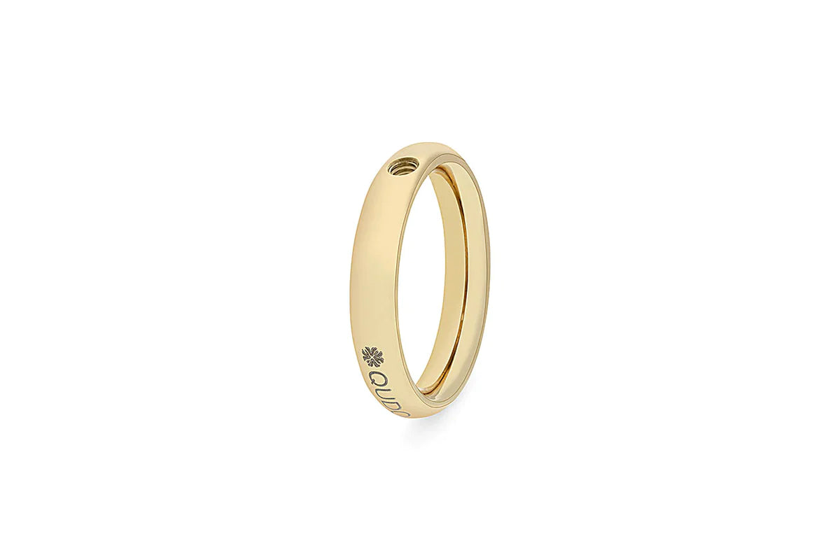 Ring Basic Small Gold