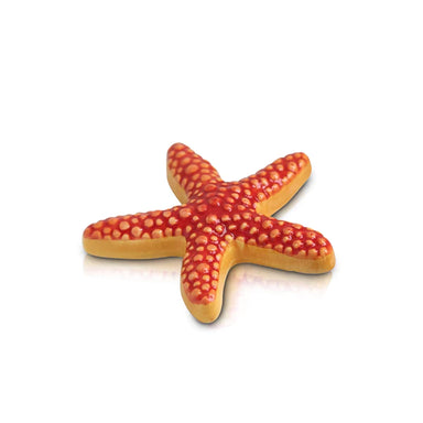 Sea Star Mini - Beau Kisses