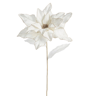 Ivory Poinsettia Stem 32" - Beau Kisses