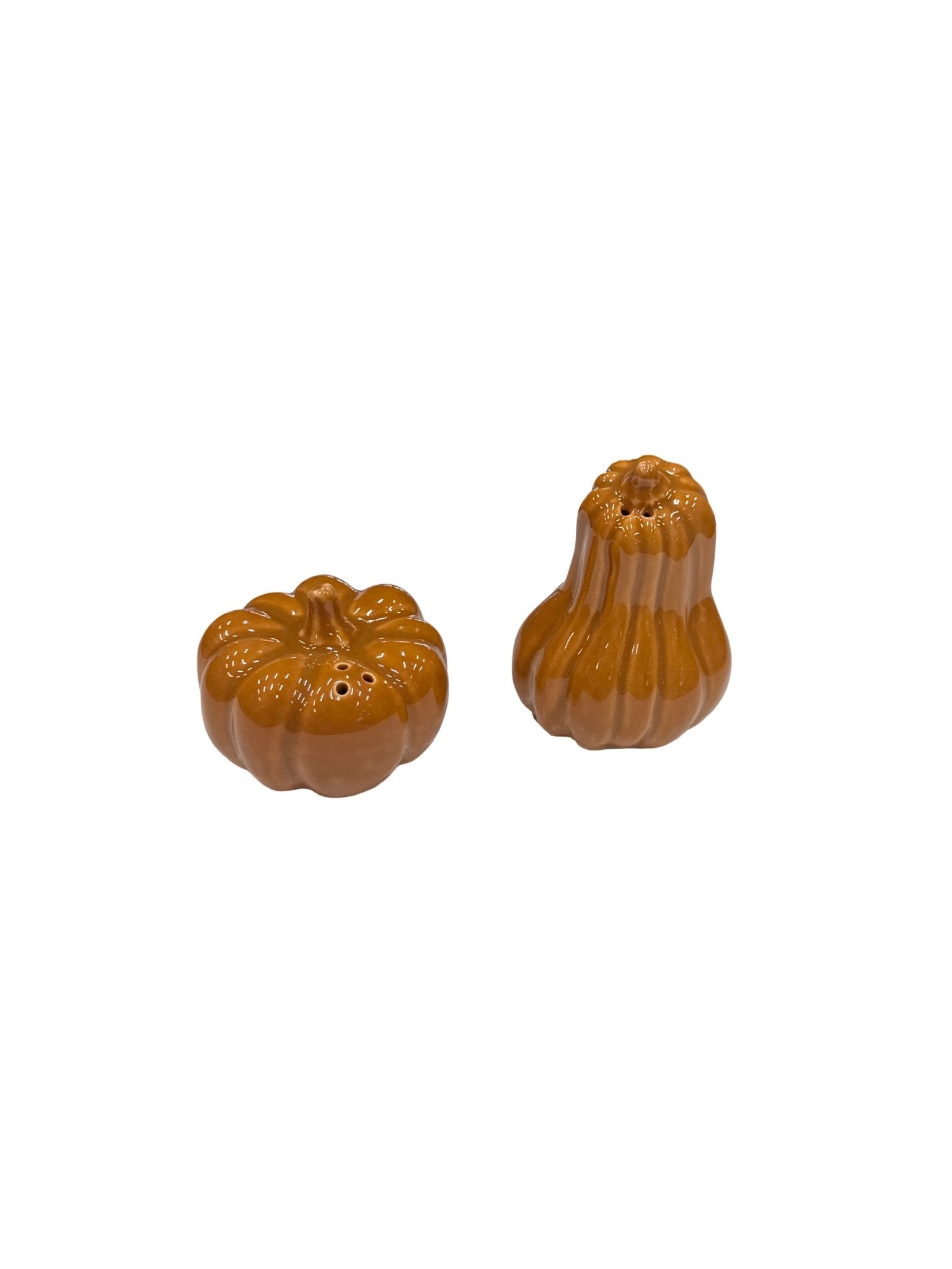 Pumpkin and Gourd Salt and Pepper Shaker Set - Beau Kisses