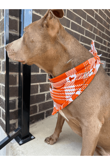 Texas Plaid Dog Bandana White and Burnt Orange - Beau Kisses