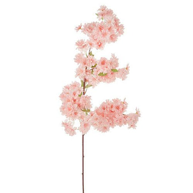 Pink Cherry Blossom Spray 40" - Beau Kisses